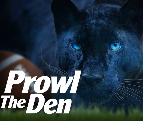 Get Ready to Prowl the Den with the Carolina Panthers - Allen Tate Blog