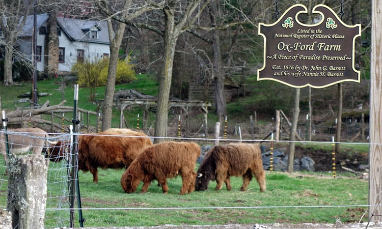 Ox-Ford Farm Bed & Breakfast
