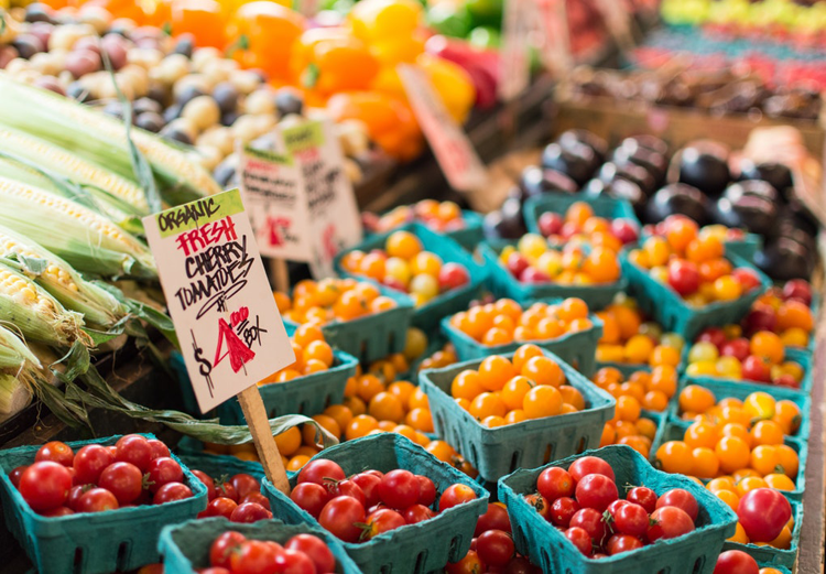 Charlotte Farmers Market