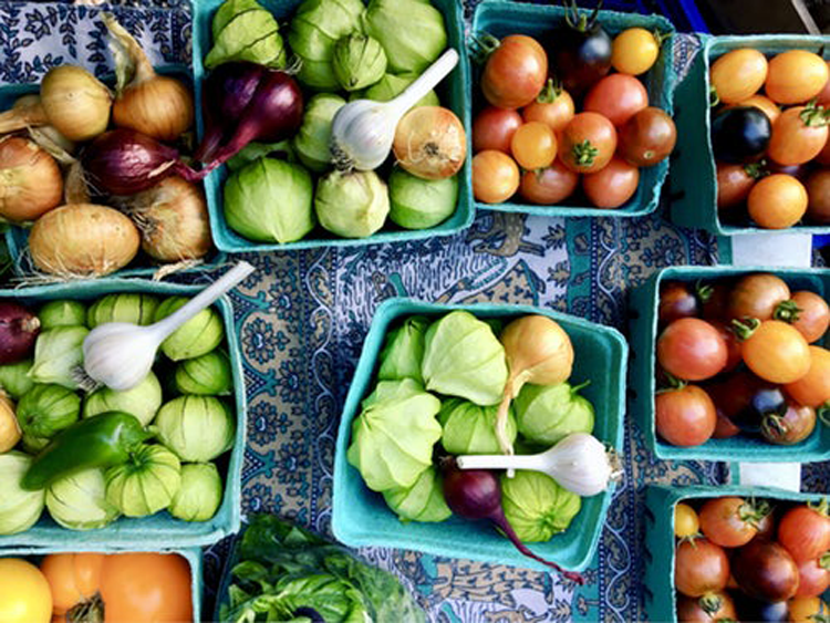 Charlotte Farmers Market