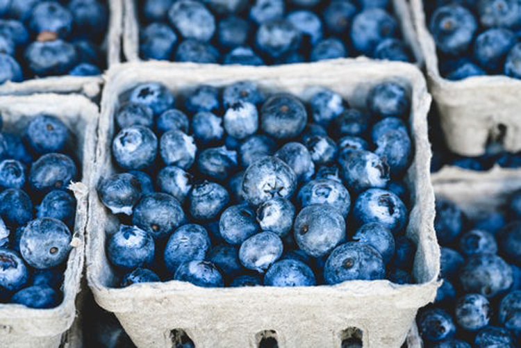 Charlotte Farmers Market