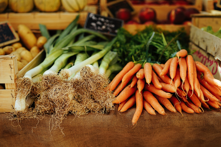 Charlotte Farmers Market