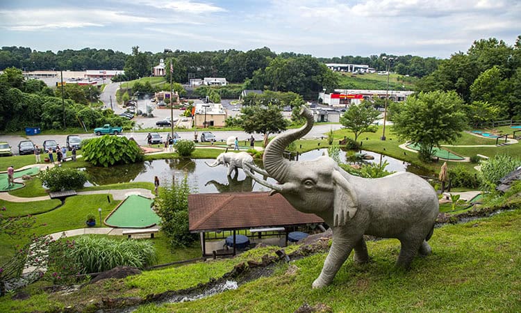Tropical Gardens Mini Golf in Asheville, NC