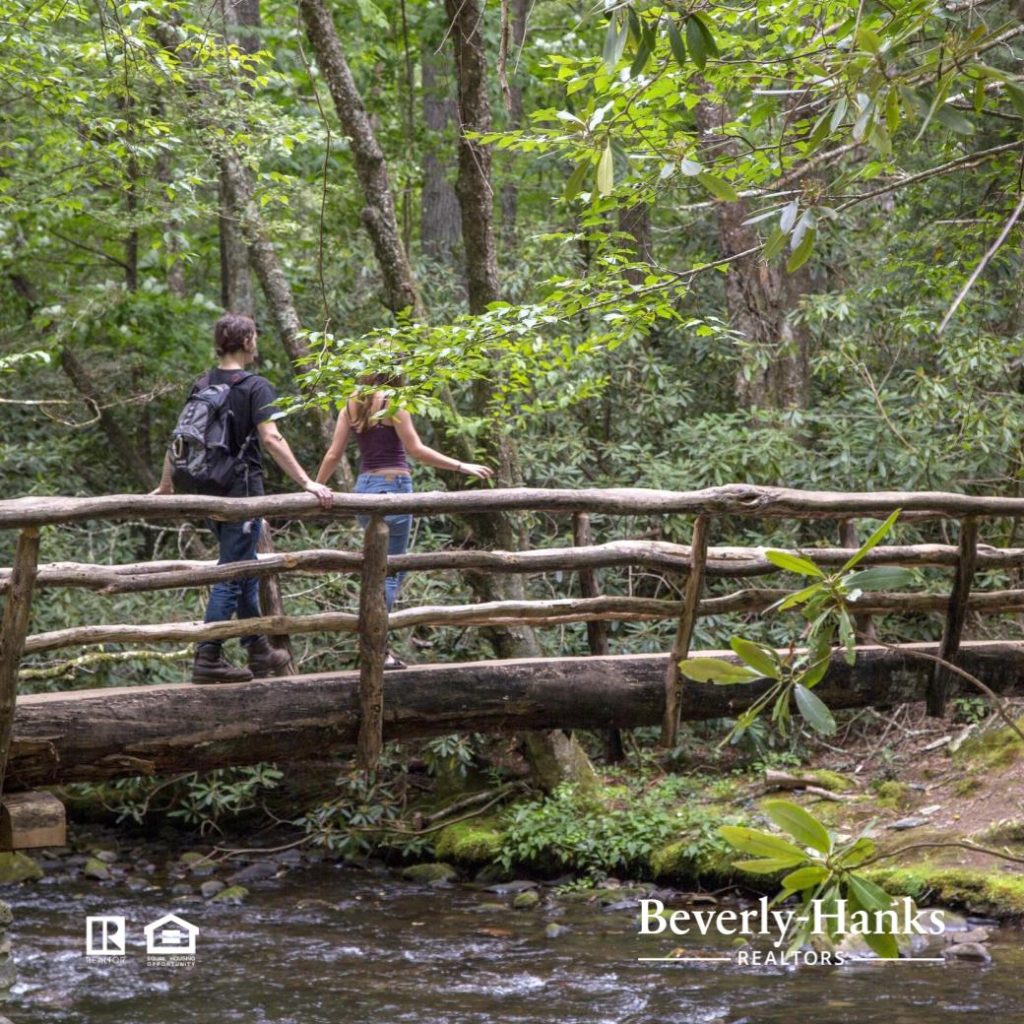 Your next adventure is right around the bend—Go find it! Here are six of our favorite Blue Ridge trailheads for adventure seekers: