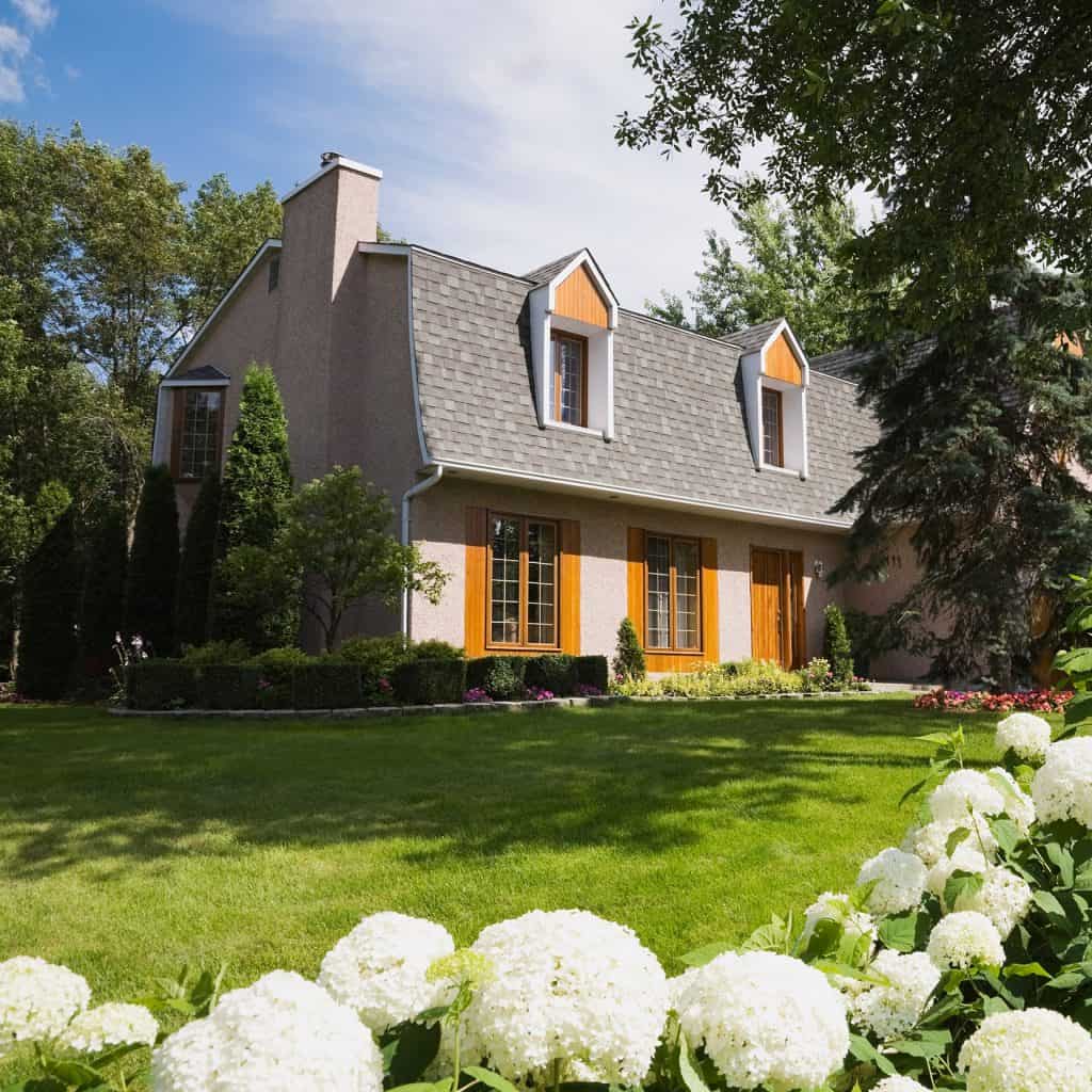 When a tree falls, who's responsible? Allen Tate Blog