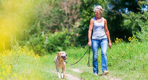 Burnsville, NC is a very dog-friendly town!
