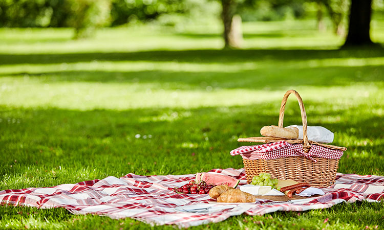 Enjoy this list of perfect places to enjoy a picnic in and around Waynesville, NC.