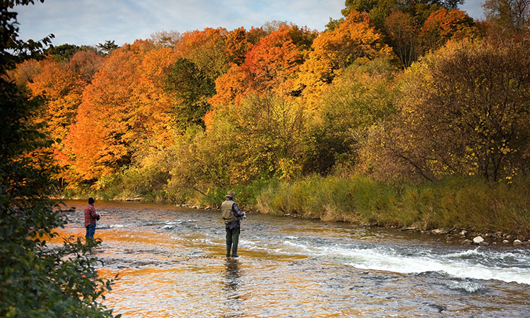 Here are three important tips for fishing near Waynesville, NC this fall.