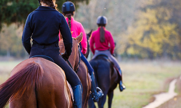 Here are three of the most popular horse trails in and around Polk County.