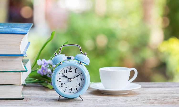 Here are three fun ways to "spring forward" in Hendersonville, NC.