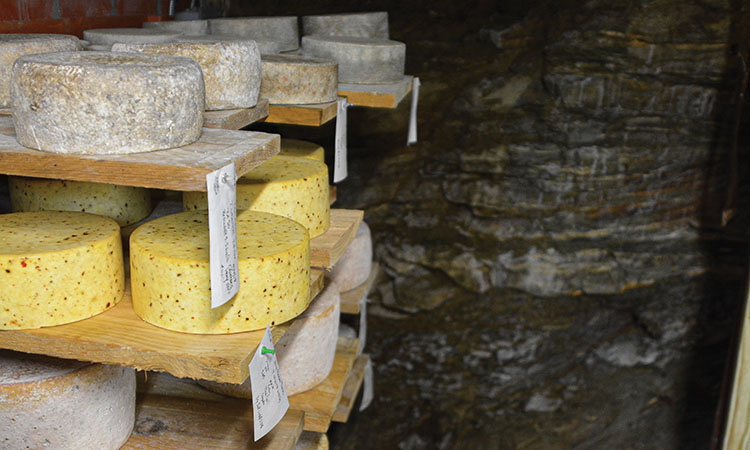 Here's a quick introduction to the WNC Cheese Trail.