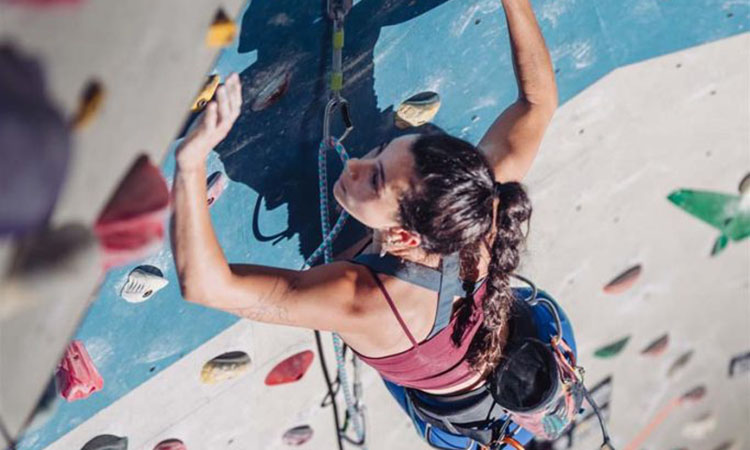 Here are the top indoor rock climbing centers in and around Asheville, NC.