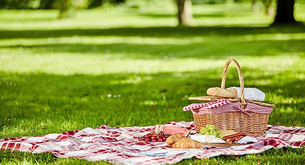 picnic spots in Waynesville, NC