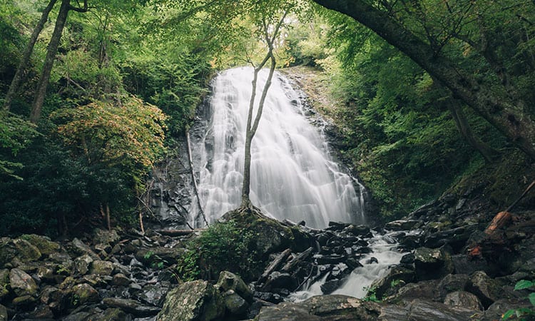 Environmental nonprofits supporting WNC