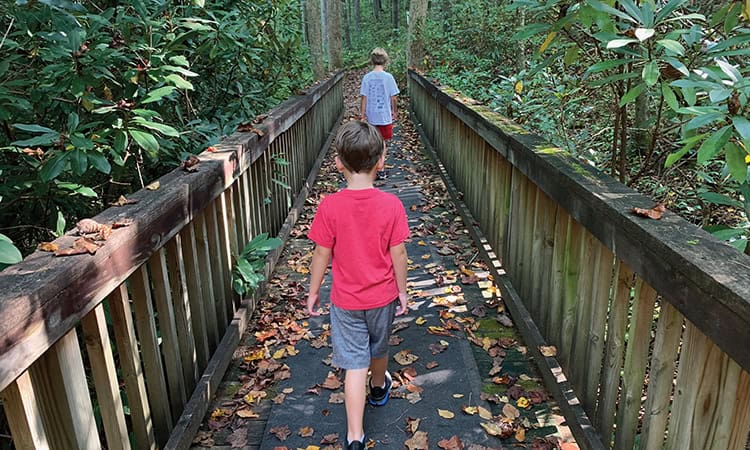 WNC summer activities for kids: getting outside