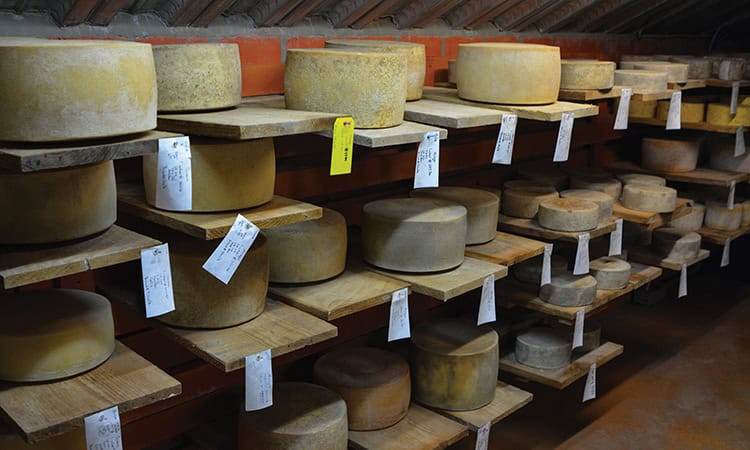 The WNC Cheese Trail goes through Fairview, NC