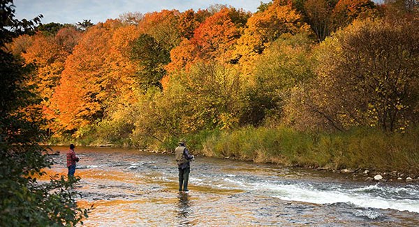Everything you need to know about fall fishing in Waynesville, NC