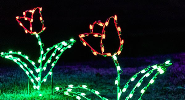 Best holiday activities in the NC Triad