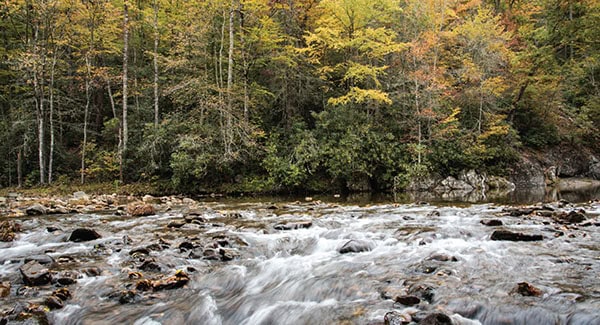 Ecusta Crossing