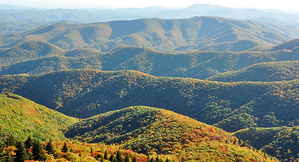 Blue Ridge Parkway hikes near Waynesville, NC, that offer unforgettable views