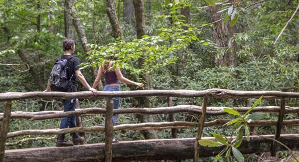 Our favorite Blue Ridge trailheads for adventure seekers
